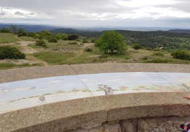 Excursión Marcha nórdica Vernègues - vernègues.  - Photo