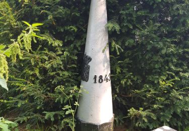 Randonnée Marche Gulpen-Wittem - Epen 730 - Photo