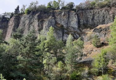 Trail Walking Monistrol-d'Allier - Monistrole-d'Allier - Photo