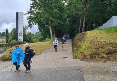 Randonnée Marche O Pino - Compostela - Photo