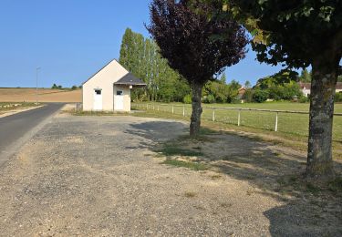 Tour Wandern Avon-les-Roches - Avon-les-Roches - Lavoirs et Collégiale des Roches Tranchelion - Photo