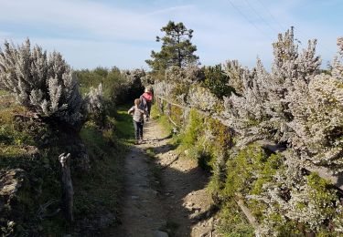 Excursión Senderismo Riomaggiore - RA 2019 Cinque Terre Riomaggiore Porto Venere - Photo