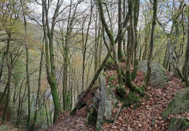 Trail Walking Bouillon - Boucle Corbion - Poupehan - Rochehaut - Crêtes de Frahan - Corbion - Photo
