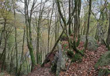 Tour Wandern Bouillon - Boucle Corbion - Poupehan - Rochehaut - Crêtes de Frahan - Corbion - Photo