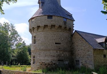 Tour Wandern Plougrescant - Anse de Gouermel - Photo