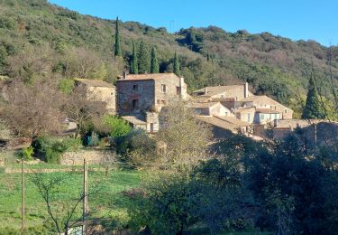 Randonnée Marche Vailhan - Vailhan, ruines de Tiberet  - Photo