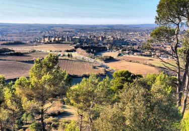 Tour Wandern Carcassonne - Accès point de vue Cité - Photo