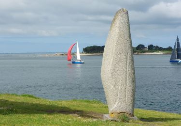 Trail Walking Arzon - PR_56_Arzon_AA_01_Pointes-Du-Golfe_Circuit1b_20230501 - Photo