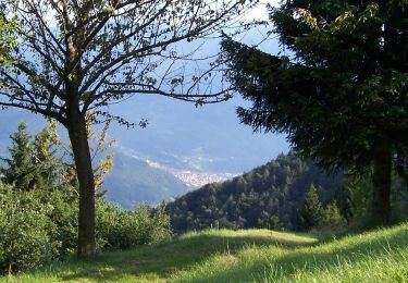 Excursión A pie Breno - Breno - Montepiano - Col de l’Oca - Monte di Cerveno - Photo