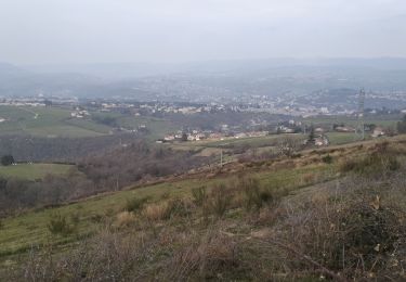 Excursión Senderismo Châteauneuf - 42-barrage-couzon-ste-croix-retau-17km-550m - Photo
