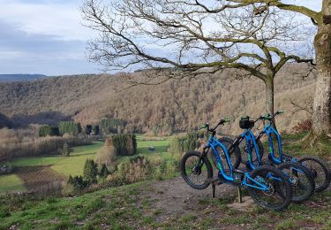 Tour Mountainbike Vresse-sur-Semois - Trott-Semois. Balade des points de vues. - Photo