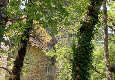 Trail Walking Le Vigean - 20210616 Chambres  - Photo