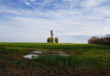 Randonnée Marche Liège - Rocourt > Ans  - Photo