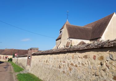 Randonnée Vélo de route Paron - 153 NE100 Trancault # Pouy sur Vannes-01 - Photo