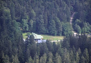 Tour Zu Fuß Drachselsried - Wanderweg 5 - Photo