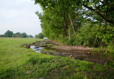 Percorso A piedi Hövelhof - A1 (Hövelhof) Fünf-Bäche-Weg - Photo