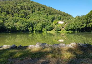 Excursión Senderismo Kirchberg - 2020-06-24 DW35 Au-dessus du lac Lachtelweiher - Photo