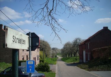 Trail On foot Sint-Truiden - Cicindria Straeten oranje bol - Photo