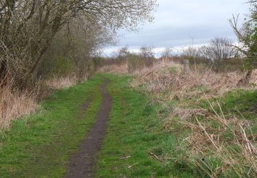 Tocht Te voet  - Pencaitland Railway Walk - Photo