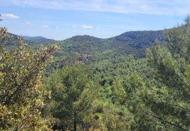 Tocht Stappen Allauch - Le vallon de Loule - Photo