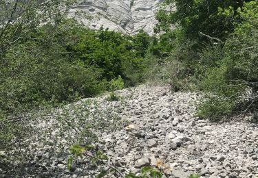 Randonnée Marche Biviers - Falaise St Eynard - Photo