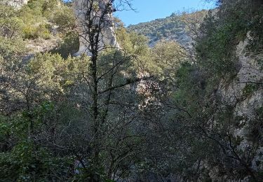 Randonnée Marche Gordes - Les bories- Senanques-Gordes - Photo