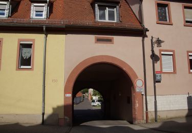 Trail On foot  - ZweiUfer Panoramaweg - Photo