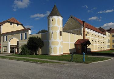 Tour Zu Fuß Gemeinde Zwettl-Niederösterreich - Waldteichweg 5 - Photo