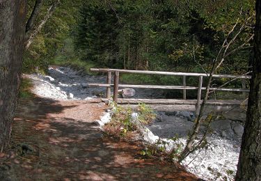 Excursión A pie Rasen-Antholz - Rasun-Anterselva - Seerundweg - Photo