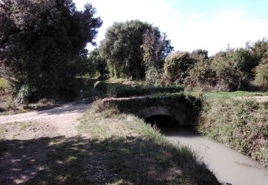 Tocht Stappen Sarrians - garrigues de sarrians  - Photo