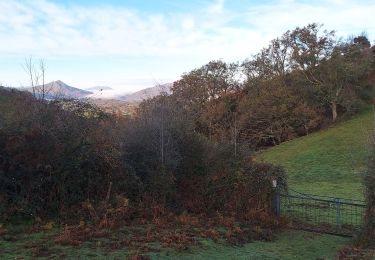 Randonnée Marche Urdazubi/Urdax - Gorospil depuis Dantcharia - Photo