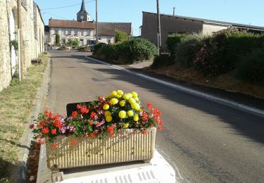 Percorso Bici da strada Paron - 047 NO80 Villeneuve la Guyard # Voulx-01 - Photo