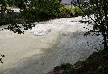 Tour Wandern Chamonix-Mont-Blanc - Gare de Chamonix chemin des tines par l'Arveyron - Photo