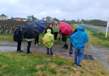 Tocht Stappen Léognan - Léognan  - Photo