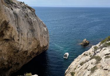 Tocht Stappen Le Rove - Calanque de Niolon - Photo