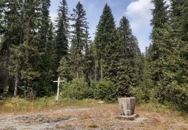 Excursión Senderismo Chapelle-des-Bois - GTJ jour 14 - Photo