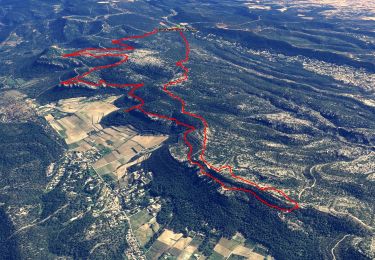 Tour Wandern Roquefort-la-Bédoule - Grand Caunet, le Montounier - Photo