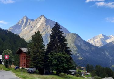 Randonnée Marche Evolène - La Haute Route : J6 - Photo