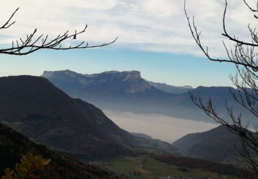 Tocht Stappen Thoiry - Les Torchets & Croix de Fer - Photo