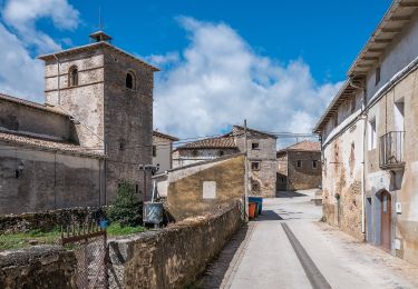 Tour Zu Fuß Lezaun - Lezaungo pagadia / Hayedo de Lezáun - Photo