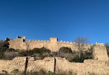 Trail Walking Montpeyroux - Le Barry Castellas  - Photo