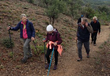 Tour Wandern Fréjus - N.D de Jérusalem - Photo