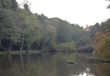 Percorso A piedi Fosses-la-Ville - Promenade_du_diable_10,5km - Photo