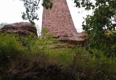 Tour Wandern Philippsburg - chateaux falckenstein - Waldeck - Photo