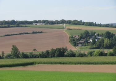 Randonnée A pied Hofgeismar - Rund um den Schöneberg - Photo
