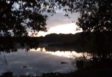 Excursión Senderismo Gennes-Val-de-Loire - étang de joreau - Photo