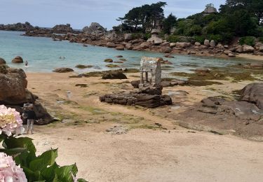 Tour Wandern Perros-Guirec - ploumanac - Photo