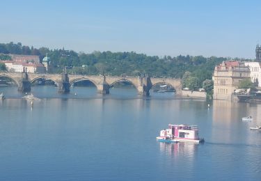 Trail Walking  - TV_CZ_Prague_AA_01_Chateau_Circuit4a_20250429 - Photo
