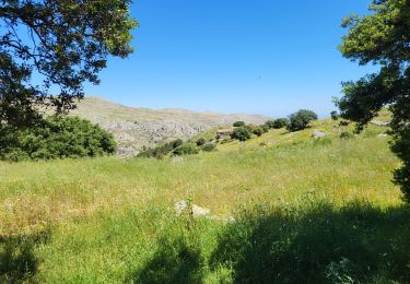 Trail Walking la Vall de Laguar - Benimaurell 250525 - Photo