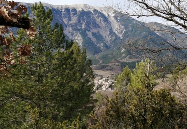 Randonnée Marche Brantes - petit brantes - Photo